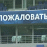 Виктор Гусев назвал Бельгию фаворитом в товарищеской игре с Россией - РТВ-Подмосковье