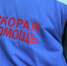 Чемпиона СССР по конному спорту нашли мёртвым на юго-западе Москвы - РТВ-Подмосковье