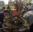 Осенью в столице высадят около 400 тысяч деревьев и кустарников - РТВ-Подмосковье