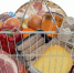 Россельхознадзор усилил контроль продукции ряда предприятий - Министерство сельского хозяйства МО