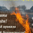 Об опасности пала сухой травы - Управление противопожарно-спасательной службы