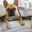 %d1%81%d0%be%d0%b1 - Газета Новые Известия