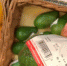 Телеведущая Водонаева пожаловалась на гнилые продукты в элитном магазине - Газета Новые Известия