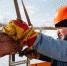 Более 40 новых газопроводов  ввели в эксплуатацию в Подмосковье в 2018 году - Правительство Московской области
