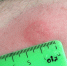 Школьниц в Перми не пускают на занятия из-за отсутствия прививки - Газета Новые Известия