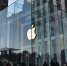 Apple отсканирует все фотографии в iCloud в поисках детской порнографии - Газета Новые Известия