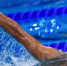 Пловец - Правительство Московской области