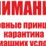 Информация "Об основных принципах карантина в домашних условиях" - Министерство социального развития МО