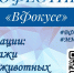Молодёжный медиацентра Можайского городского округа дал старт фотофестивалю «ВФокусе» - РТВ-Подмосковье