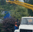 Из‑за непогоды в Подмосковье повалено 50 деревьев, повреждено 10 автомобилей - РТВ-Подмосковье