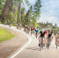Новый сезон Gran Fondo в Подмосковье стартует 16 августа - Министерство физкультуры и спорта