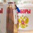 Подмосковье может внедрить электронное голосование в следующем году - РТВ-Подмосковье