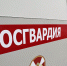 В Подмосковье сотрудники Росгвардии задержали двоих молодых людей, которые разбили витрину магазина - Росгвардия