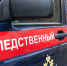 В Химках следователи устанавливают обстоятельства смерти девочки и травмирования другой - Следственный комитет