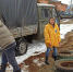 В рамках проекта «ЭкоЛогичное Подмосковье», реализуемого при поддержке Главного управления социальных коммуникаций, министерства ЖКХ и Министерства экологии, сотрудники МУ «Благоустройство» и члены Общественной палаты городского округа Лотошино убрали пло - Общественная палата МО