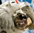 class="b-article-head">Контракт подписан. SpaceX будет доставлять астронавтов на Луну - Вести Подмосковья
