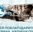 УСПЕЙ ПОБЛАГОДАРИТЬ ВЕТЕРАНА. НАПИШИ ГЕРОЮ «ПИСЬМО ПОБЕДЫ»! - МГОУ
