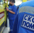 Дерево упало на подростка в Истре - MosRegToday.Ru