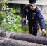 По предписаниям Госадмтехнадзора в Подмосковье устранено свыше 420 нарушений в содержании наземных ч... - Госадмтехнадзор МО