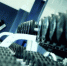 В Подмосковье завершается прием заявок на включение в реестр спортивных ИП - MosRegToday.Ru