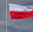 Эксперт: Польша может наложить санкции на РФ из-за наплыва мигрантов - Вести Подмосковья