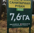 В Егорьевском лесничестве проведены выборочные санитарные рубки - Комитет лесного хозяйства