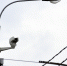 В парке Красногорска установят освещение и видеонаблюдение - I-Podmoskovie.Ru