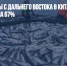 Поставки рыбы с Дальнего Востока в Китай за год сократились на 67% - Газета Новые Известия