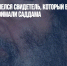 В Багдаде нашелся свидетель, который видел, как на самом деле поймали Саддама - Газета Новые Известия