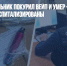 В Бийске школьник покурил вейп и умер — его сестра с подругой госпитализированы - Газета Новые Известия
