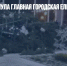 В Ростове рухнула главная городская елка - Газета Новые Известия