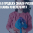 IKEA выпустила в продажу собаку-русалку по эскизу девятилетнего Саввы из Петербурга - Газета Новые Известия