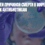 Lancet: ведущей причиной смерти в мире стала устойчивость к антибиотикам - Газета Новые Известия