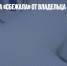 В Томске ванна «сбежала» от владельца (ВИДЕО) - Газета Новые Известия