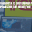 Вакансия программиста 1С возглавила рейтинг самых прибыльных профессий для молодежи - Газета Новые Известия
