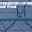 Подозреваемого в педофилии в Костроме отправили на принудительное лечение - Газета Новые Известия