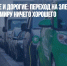 Очень вредные и дорогие: переход на электромобили пока не сулит миру ничего хорошего - Газета Новые Известия