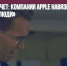 Природа не в счет: компания Apple навязывает понятие «беременные люди» - Газета Новые Известия