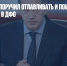 Юрий Трутнев поручил отлавливать и помещать в приюты собак в ДФО - Газета Новые Известия