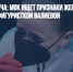 Ледяная встреча: МОК ищет признаки жестокого обращения с фигуристкой Валиевой - Газета Новые Известия