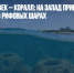 Каждый человек – коралл: на Запад пришла мода на захоронения в рифовых шарах - Газета Новые Известия