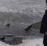 Свыше 170 сотрудников «Мособлпожспаса» патрулируют водоемы Подмосковья! - Управление противопожарно-спасательной службы