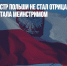 Премьер-министр Польши не стал отрицать: русофобия в стране уже стала мейнстримом - Газета Новые Известия