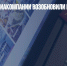 Российские авиакомпании возобновили полеты в Египет - Газета Новые Известия