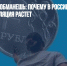 Экономику не обманешь: почему в России доллар падает, а инфляция растет - Газета Новые Известия