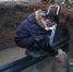 Дмитровчанин спас собаку, провалившуюся в яму с водой - MosRegToday.Ru