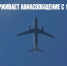Россия поддерживает авиасообщение с 13 странами - Газета Новые Известия