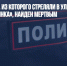 Хозяин ружья, из которого стреляли в ульяновском детсаду «Рябинка», найден мертвым - Газета Новые Известия