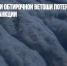 Производители обтирочной ветоши потеряли 85% сырья из-за санкций - Газета Новые Известия