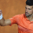 Roland Garros. Джокович и Надаль идут дальше - Вести-Москва